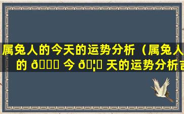 属兔人的今天的运势分析（属兔人的 🐞 今 🦊 天的运势分析吉凶）